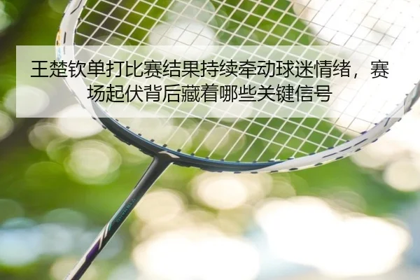 王楚钦单打比赛结果持续牵动球迷情绪，赛场起伏背后藏着哪些关键信号