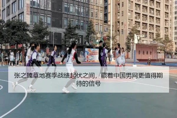 张之臻草地赛季战绩起伏之间，藏着中国男网更值得期待的信号